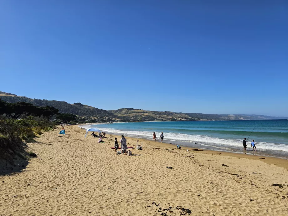 Apollo Bay Beach