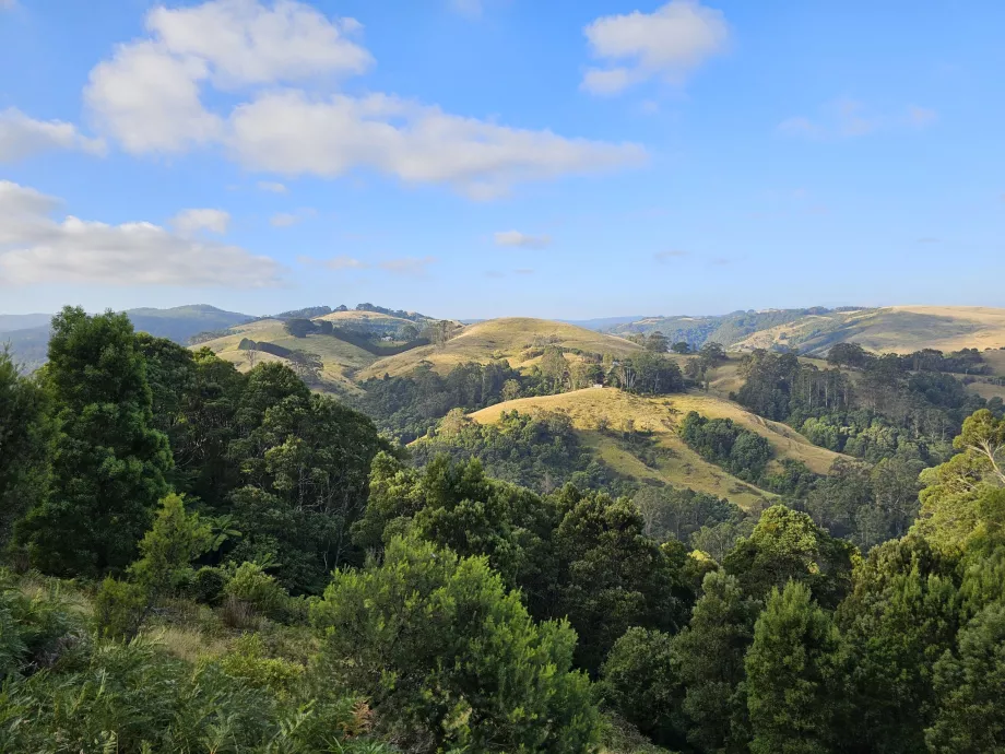 Great Otway nasjonalpark