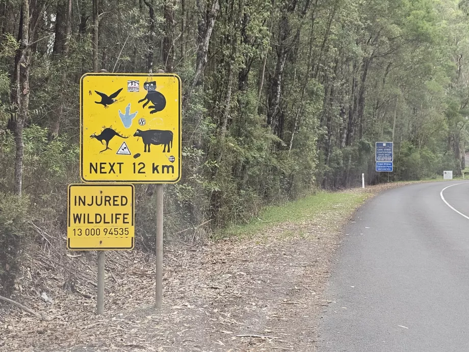 Typiske skilt langs veien