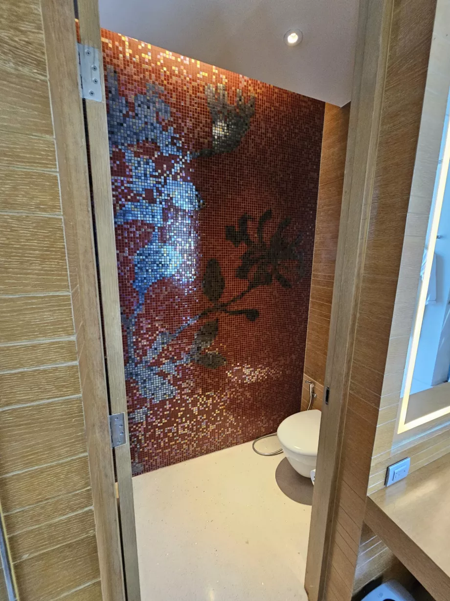 Toalett adskilt fra badet med en dør