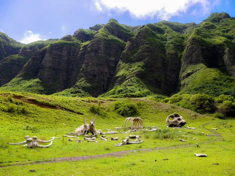 Kualoa Ranch