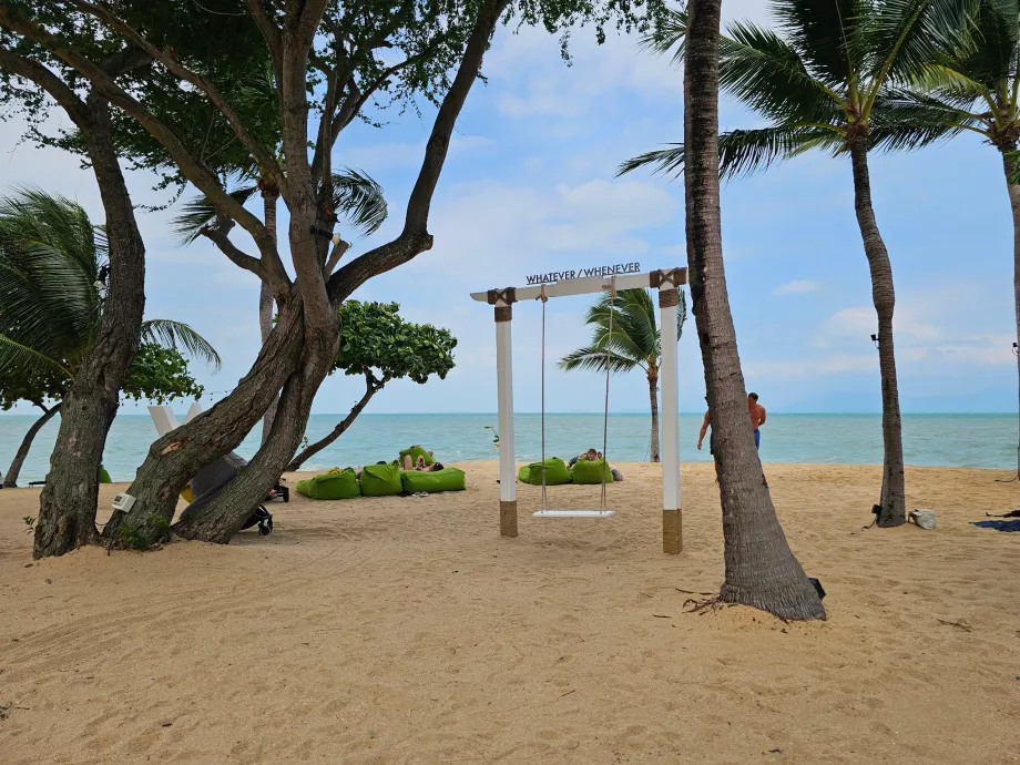 Svinge på hotellets strand