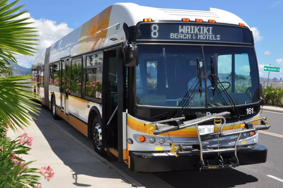 Buss Oahu
