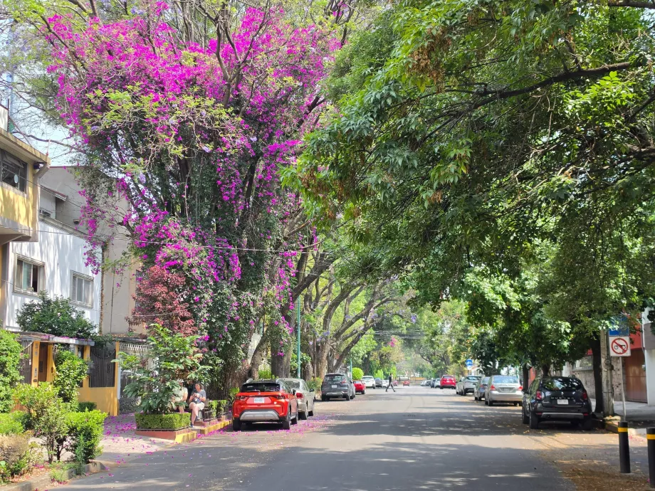 Distriktet Coyoacán