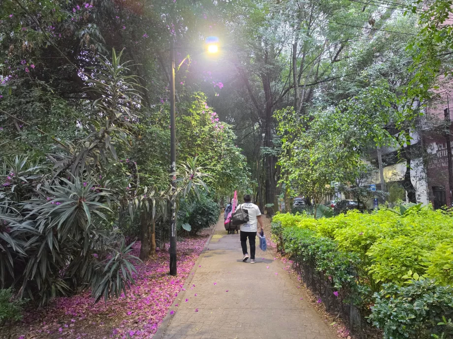 Kvartal av Condesa