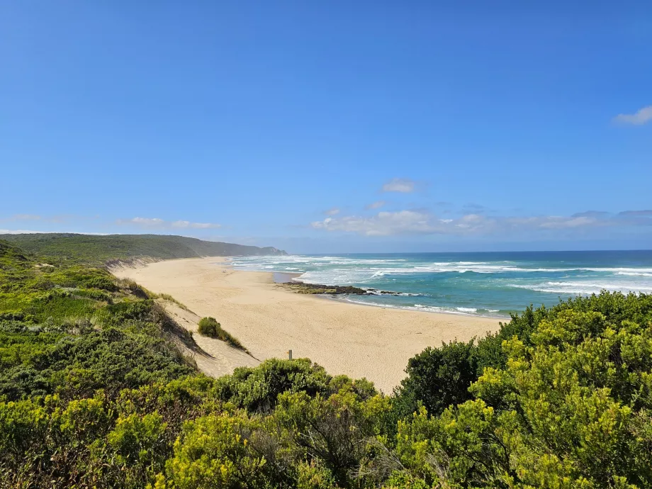 Johanna Beach