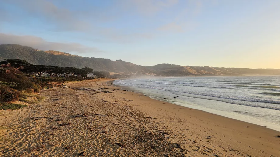 Strand i Apollo Bay