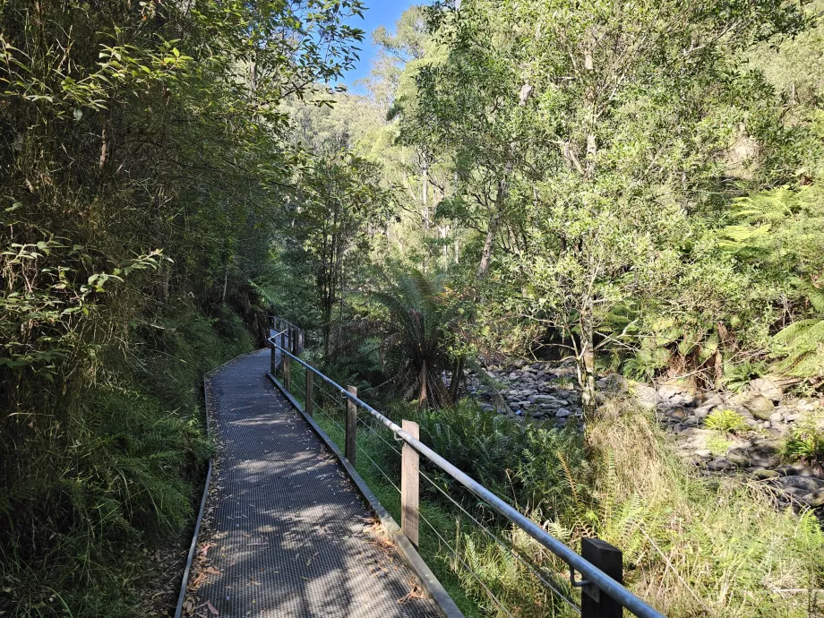 Stevenson Falls Trail