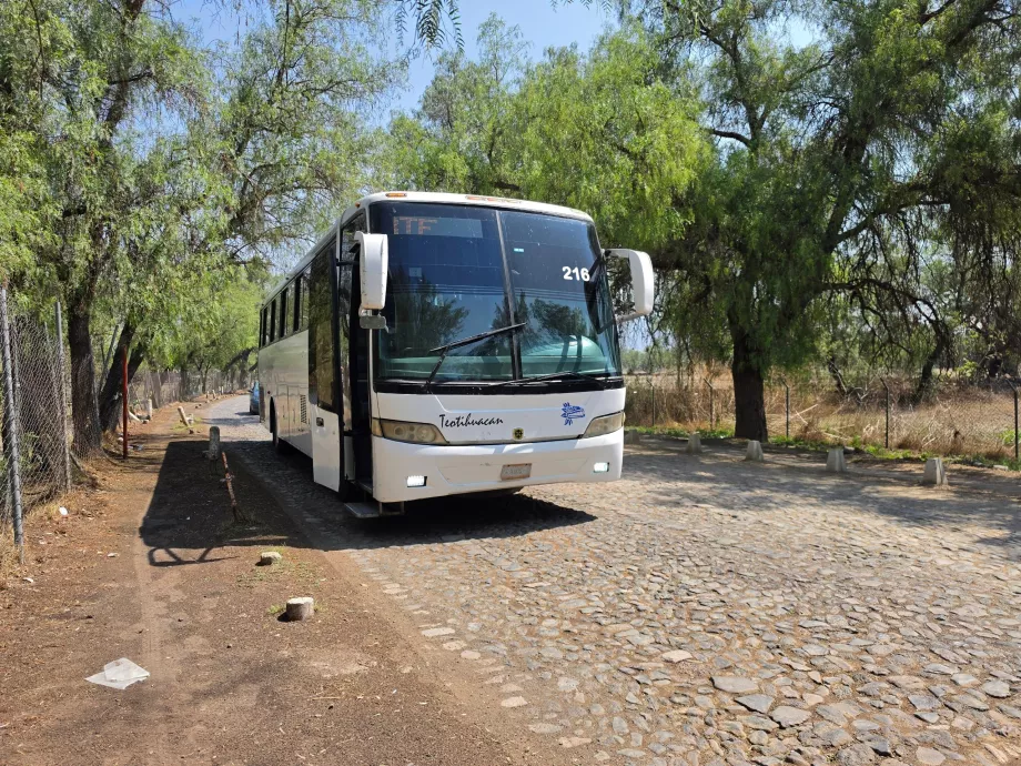 Buss Teotihuacán <-> Mexico City