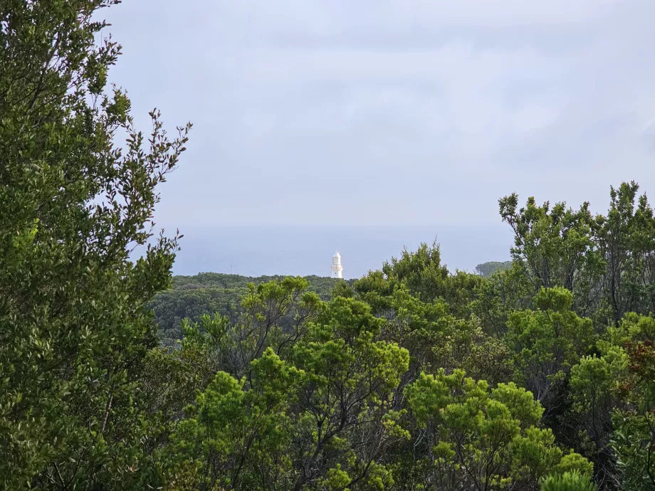En av de få utsiktspunktene mot fyret fra Great Ocean Walk