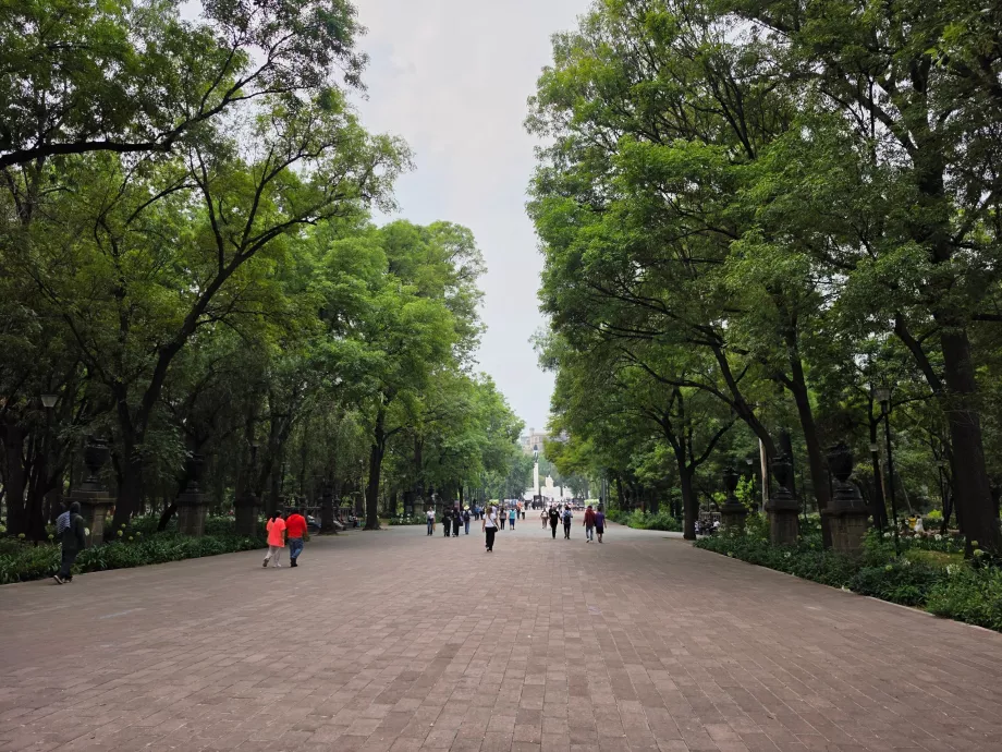 Bosque de Chapultepec