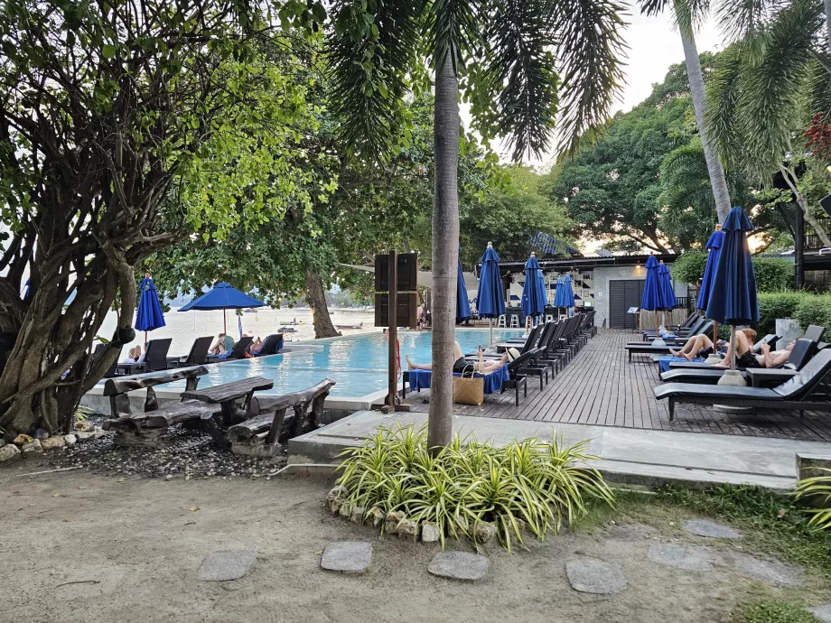 Svømmebasseng med solsenger