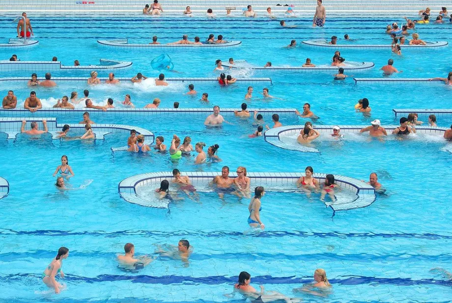 Palatinus sittebasseng