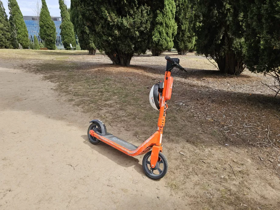 Scooter Neuron