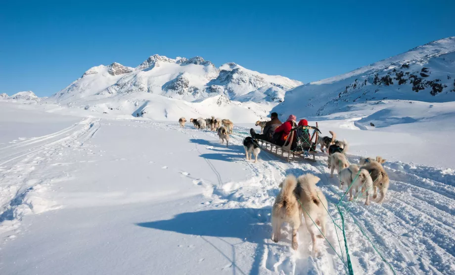 Hundekjøring på Grønland