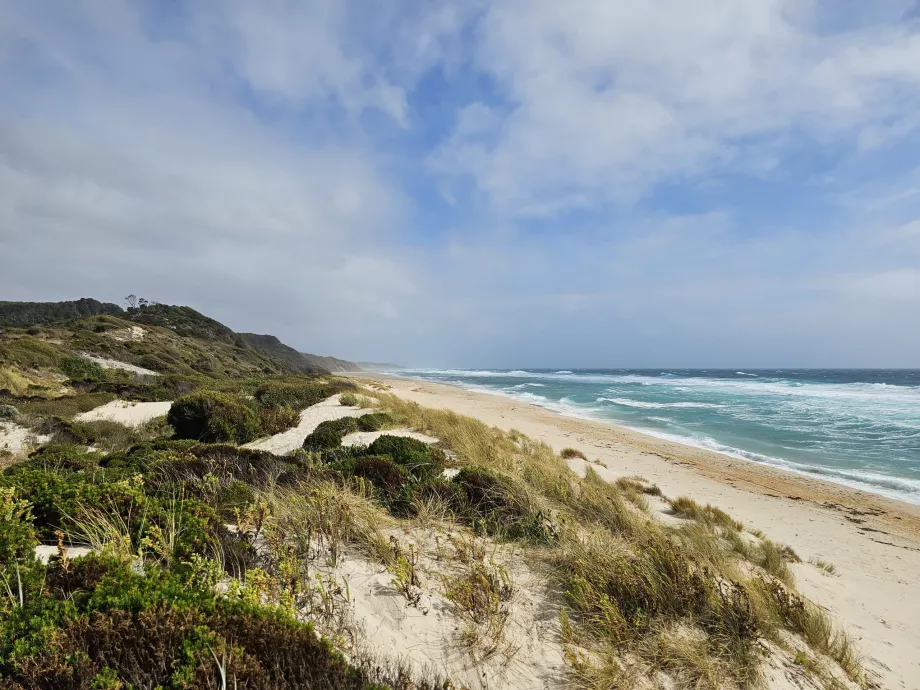 Lavinia State Reserve