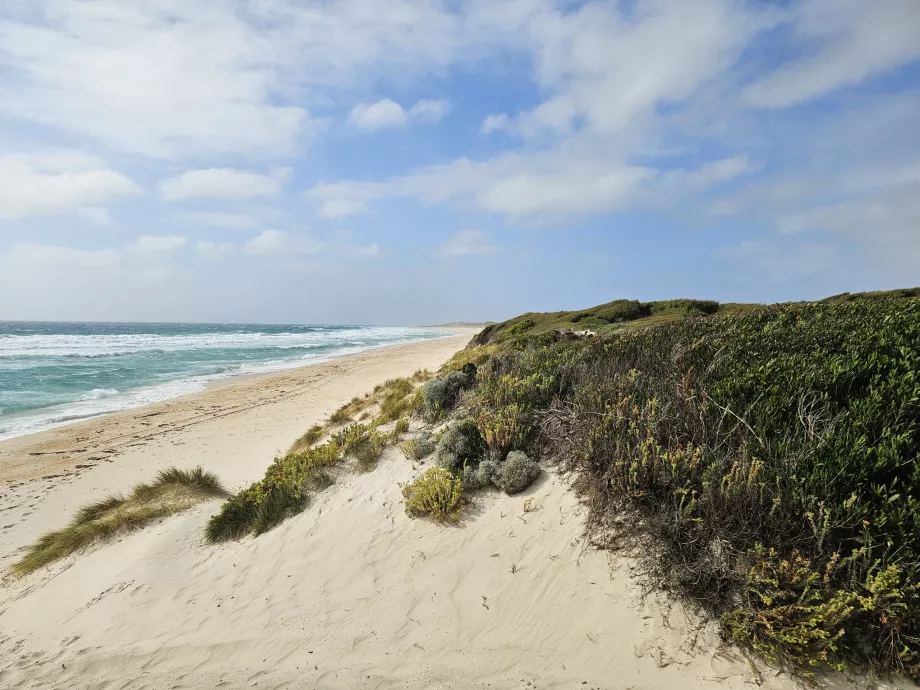 Lavinia State Reserve