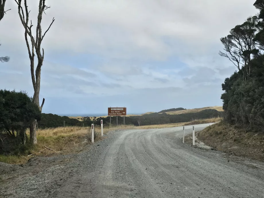 Veien til sørspissen av øya