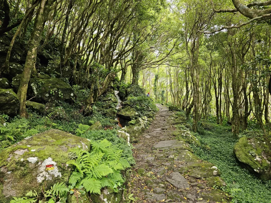 Veien til Ribeira do Ferreiro-fossene