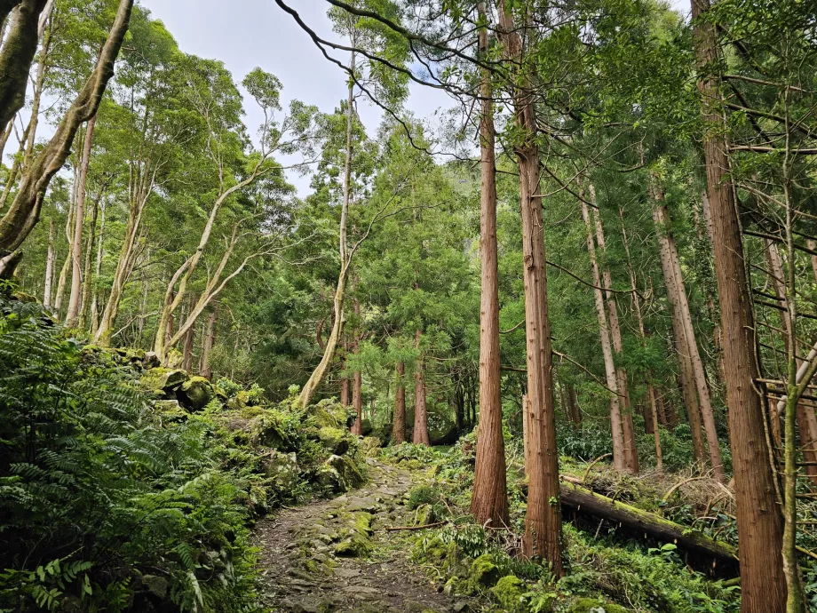 Veien til Ferreiro Falls
