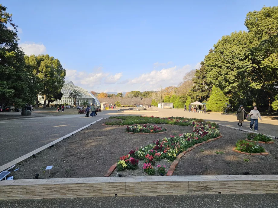 Kyoto botaniske hage