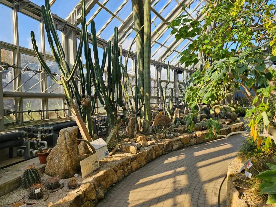 Kyoto botaniske hage