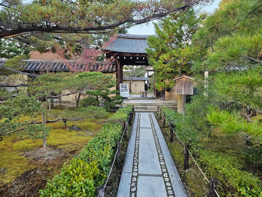 Daisen-in Zen-hagen i Daitoku-ji