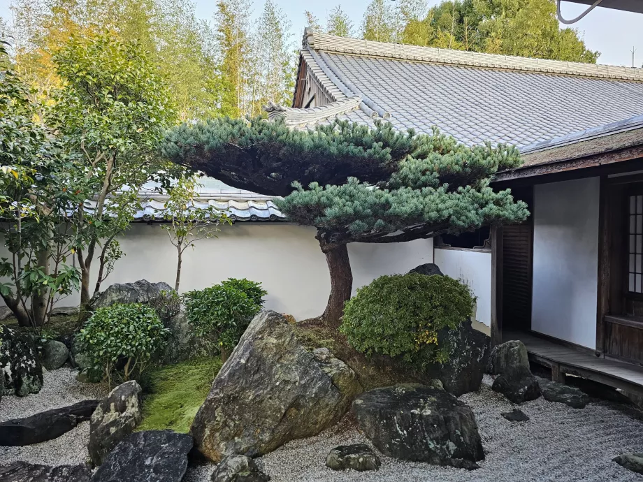 Daisen-in Zen-hagen i Daitoku-ji