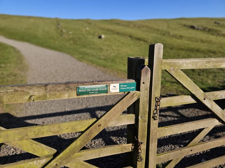 Steng porten slik at sauene ikke rømmer