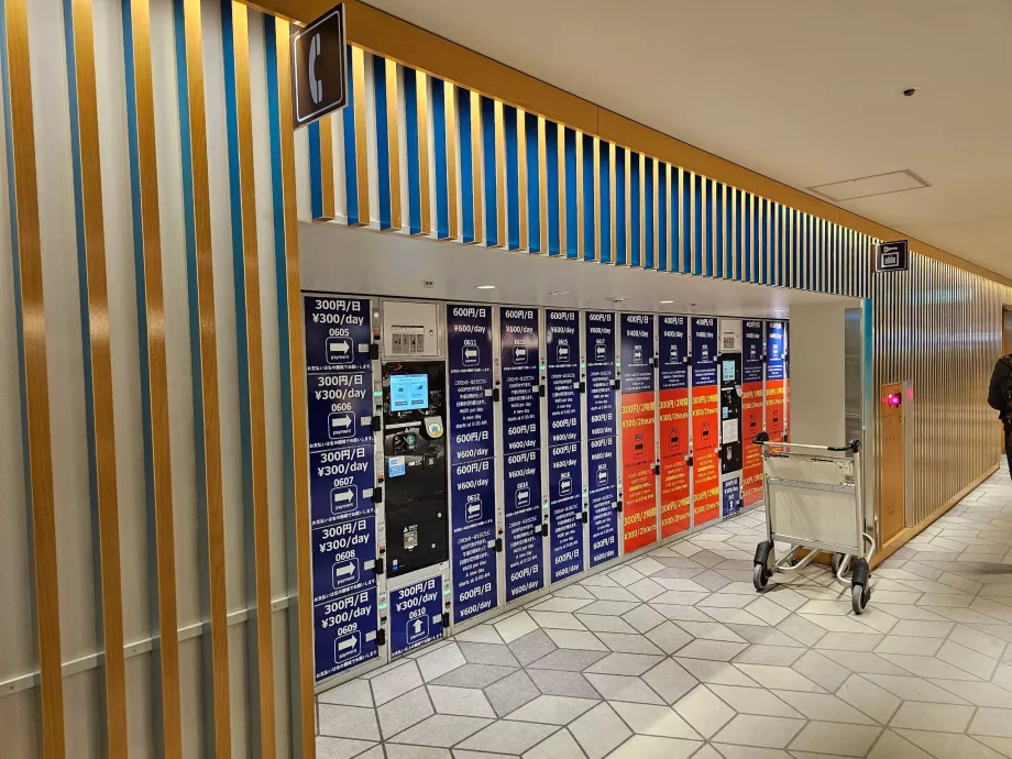 Skap for oppbevaring av bagasje