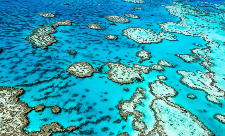 Great Barrier Reef