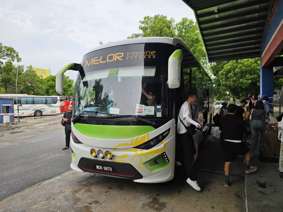 Melor Interline, buss