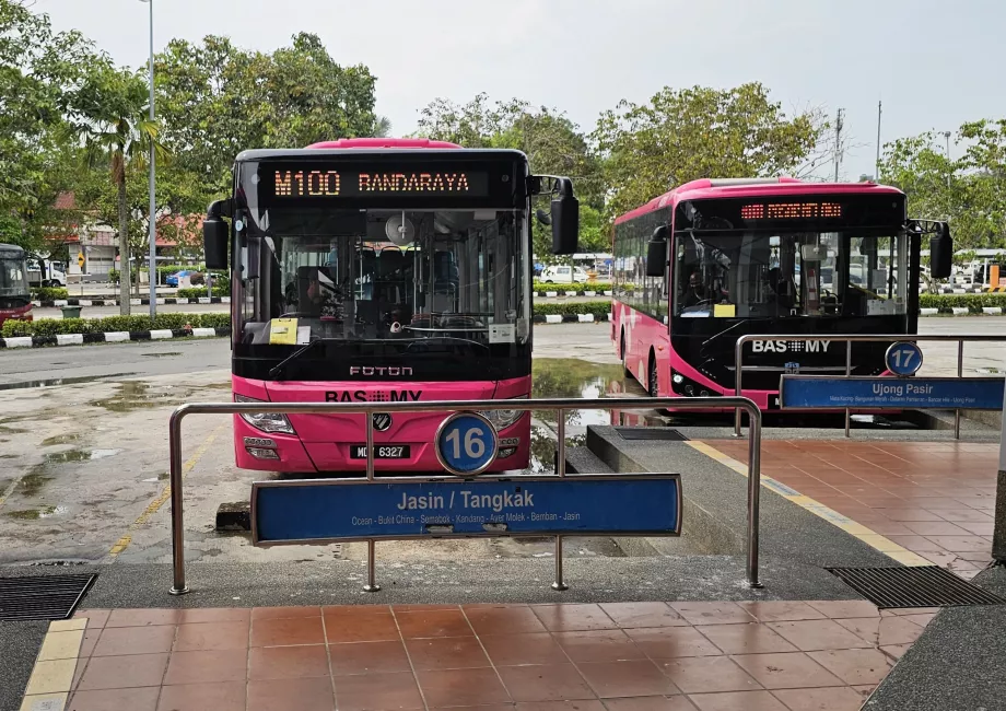 Buss 100 fra busstasjonen til sentrum