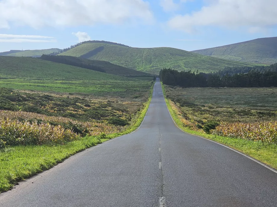 Vei midt på øya Flores