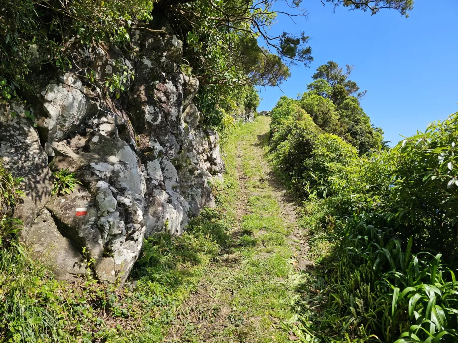 Merke på klippen, trilho Ponta Ruiva-Cedros