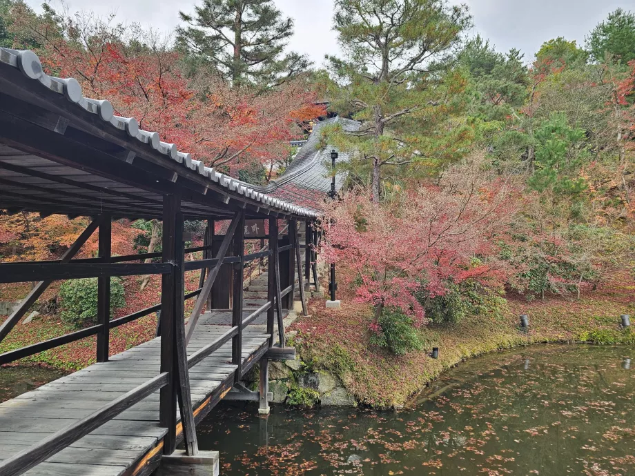 Kodai-ji tempel, hager