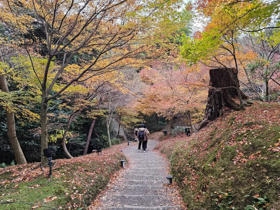Kodai-ji tempel, hager