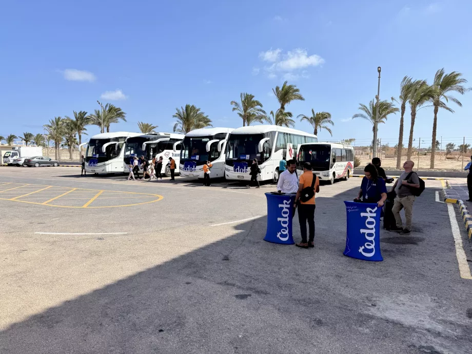 Busser fra flyplassen til hotellanleggene