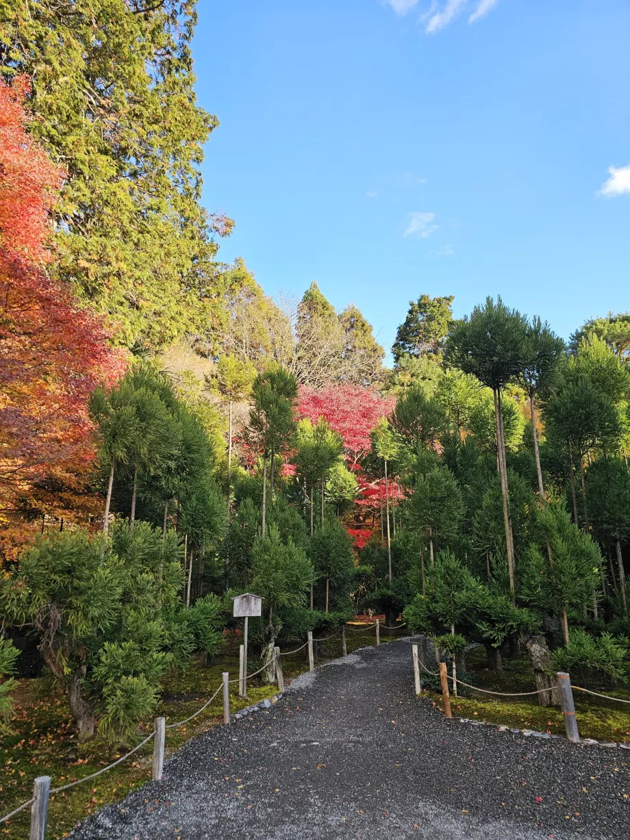 Ryoan-ji tempel