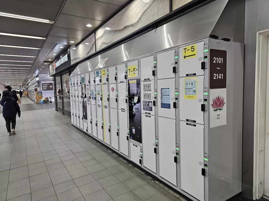 Skap for oppbevaring av bagasje