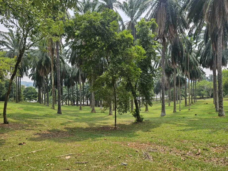 Botanisk hage
