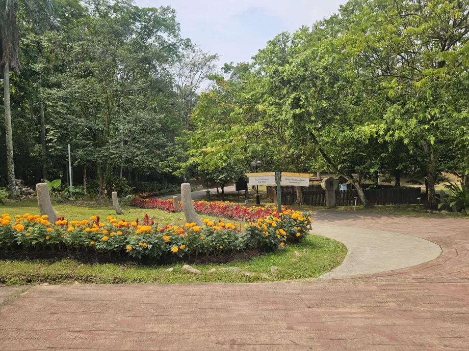 Botanisk hage