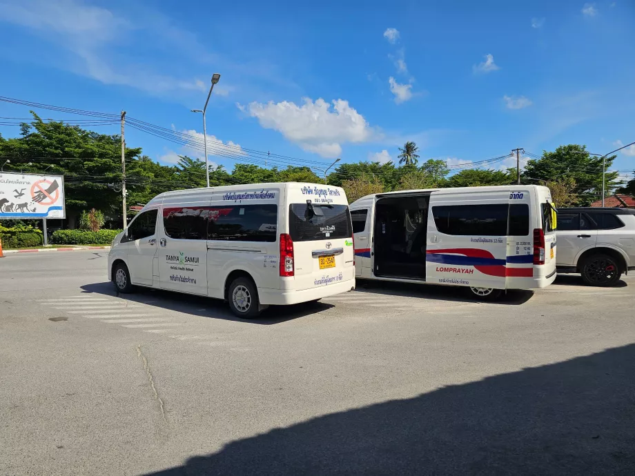 Minibusser Lomprayah til ferger