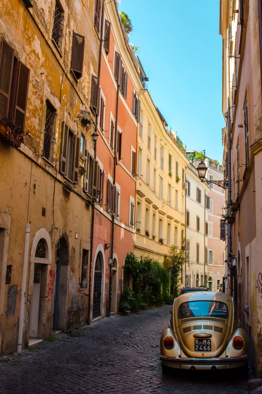 Trastevere