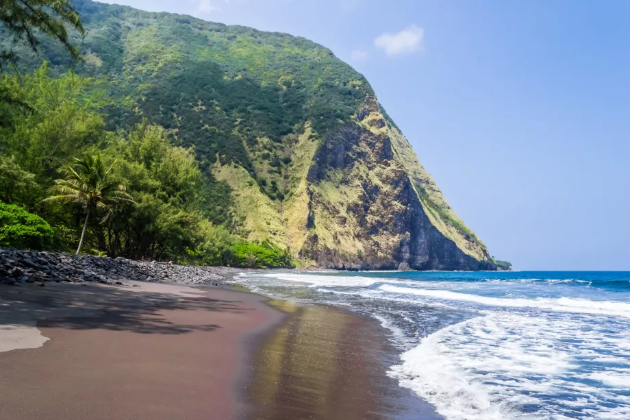 Black Sand Beach i Waipio