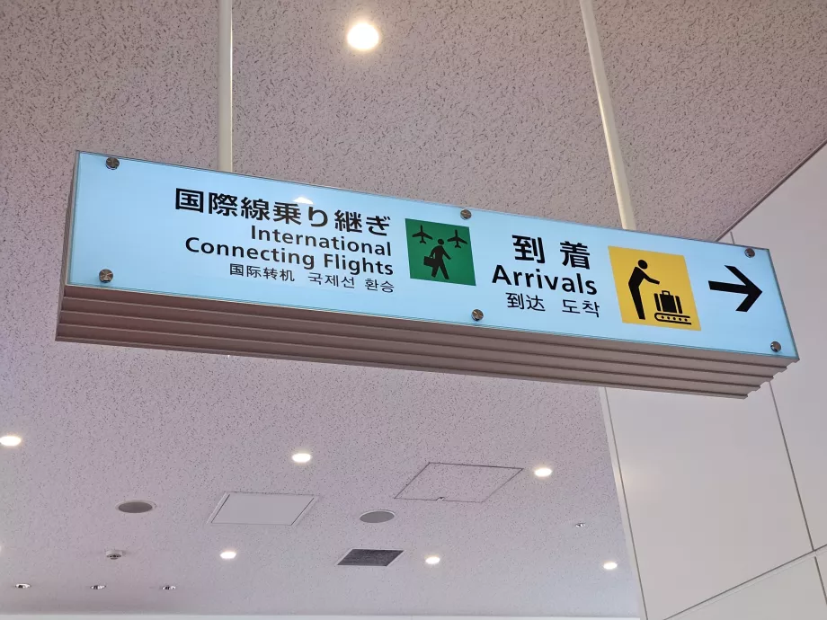 Internasjonale overgangsflyvninger