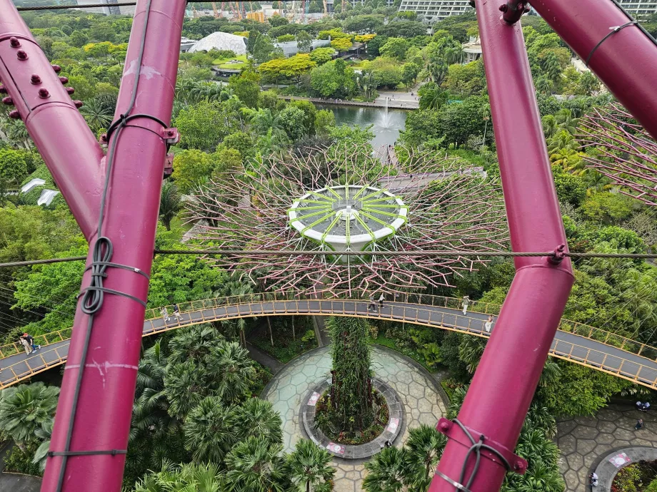 Supertree Observatory