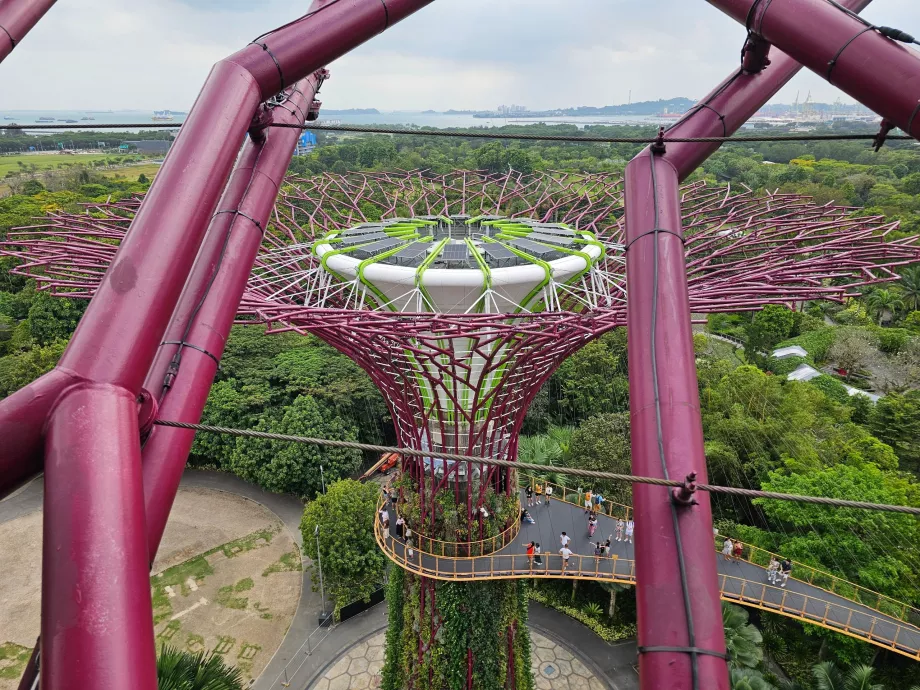 Supertree Observatory