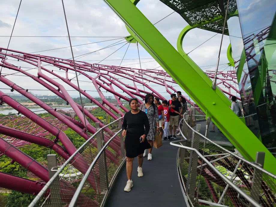 Supertree Observatory