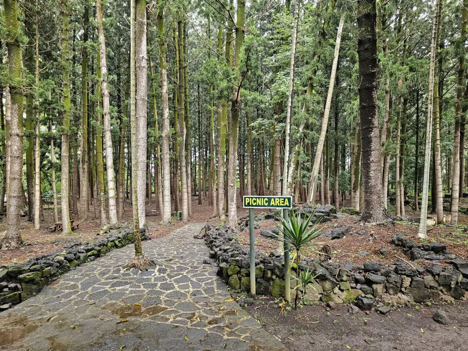 Bras d'Eau nasjonalpark